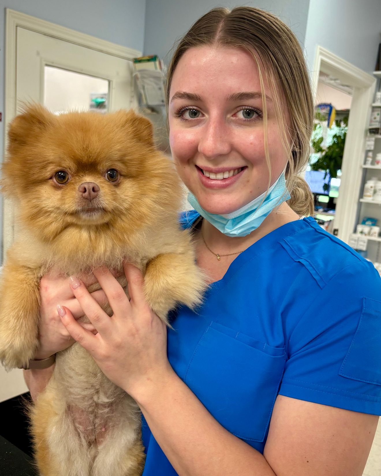 Veterinary Jobs in Flower Mound